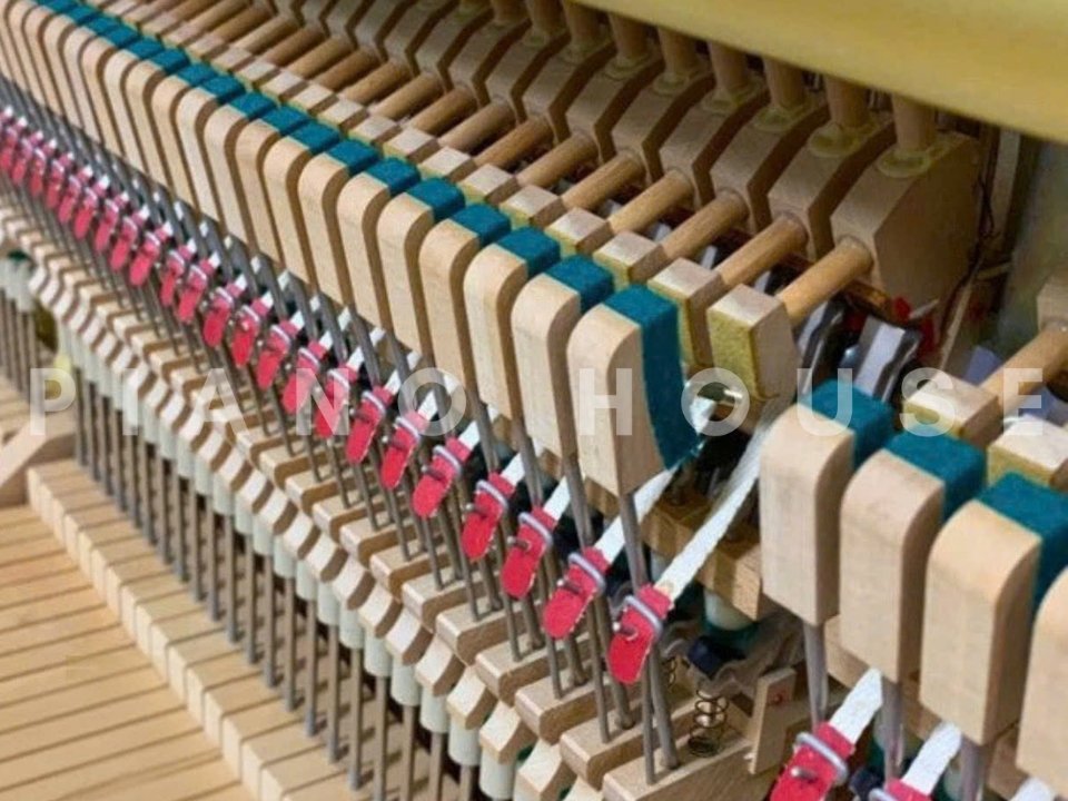 Hình ảnh chi tiết YAMAHA WX106W góc chụp 7